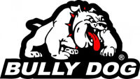 Bully Dog